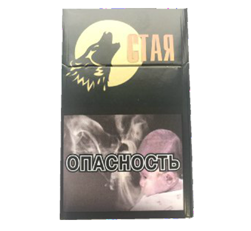 staya-240×320
